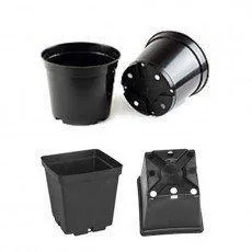 Размеры и обозначения контейнеров для растений